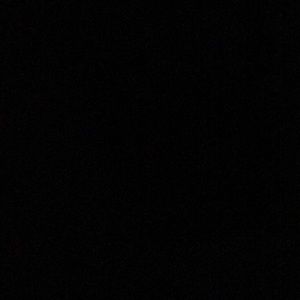 Meet your Posher, Will